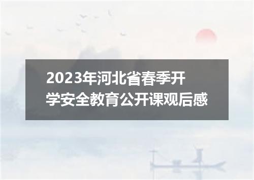 2023年河北省春季开学安全教育公开课观后感