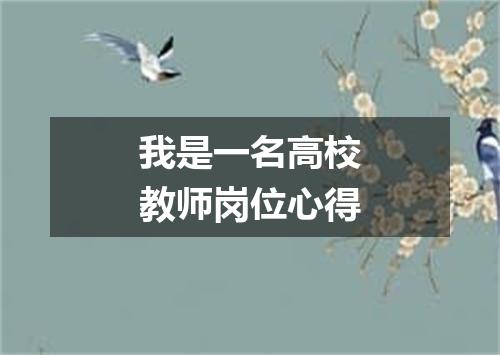 我是一名高校教师岗位心得