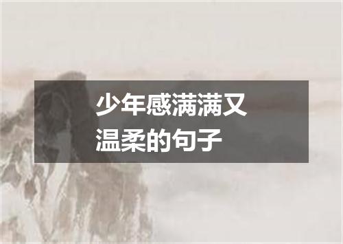 少年感满满又温柔的句子