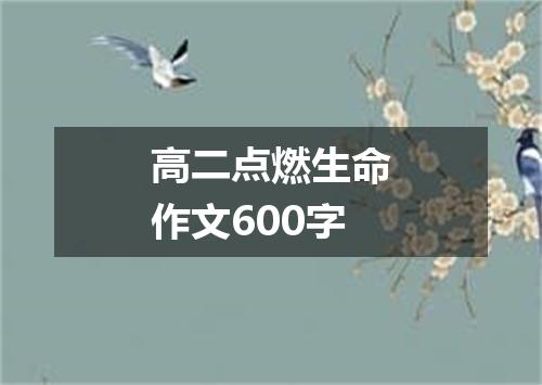 高二点燃生命作文600字