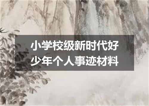 小学校级新时代好少年个人事迹材料
