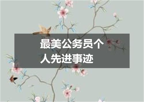 最美公务员个人先进事迹