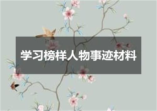 学习榜样人物事迹材料