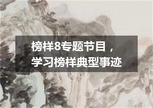 榜样8专题节目，学习榜样典型事迹