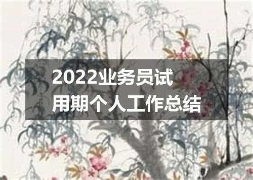 2022业务员试用期个人工作总结