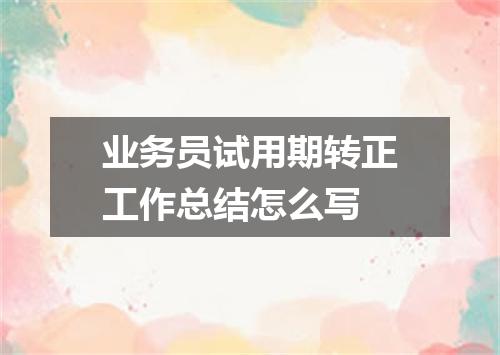 业务员试用期转正工作总结怎么写