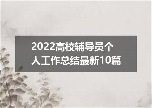 2022高校辅导员个人工作总结最新10篇