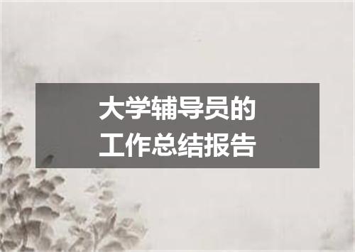 大学辅导员的工作总结报告