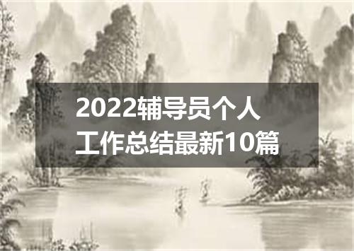 2022辅导员个人工作总结最新10篇