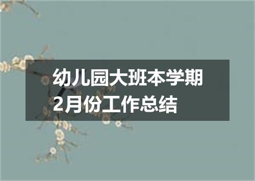 幼儿园大班本学期2月份工作总结