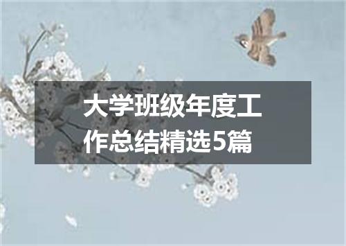 大学班级年度工作总结精选5篇