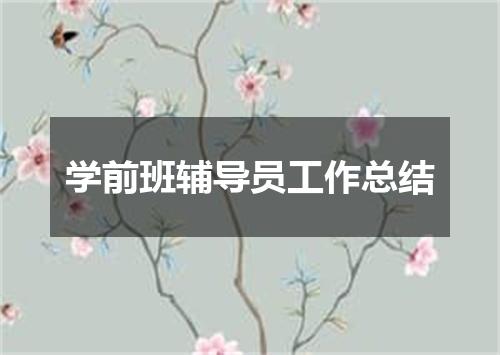 学前班辅导员工作总结