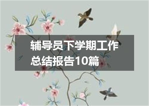 辅导员下学期工作总结报告10篇