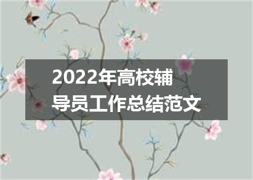 2022年高校辅导员工作总结范文