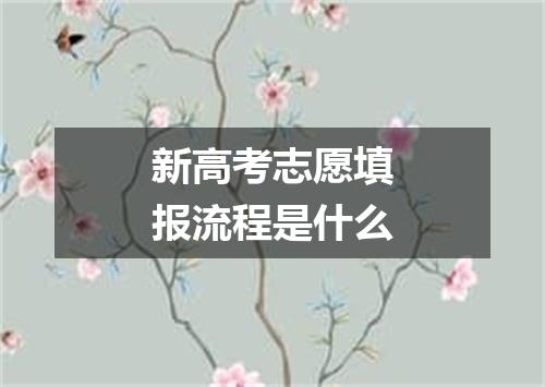 新高考志愿填报流程是什么