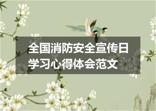 全国消防安全宣传日学习心得体会范文