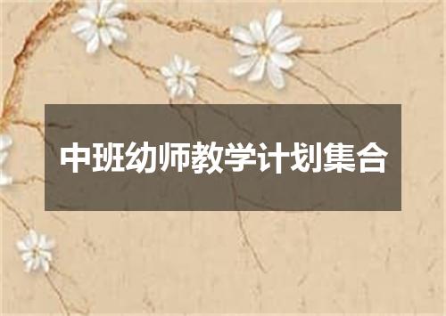 中班幼师教学计划集合