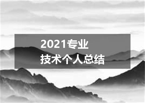 2021专业技术个人总结