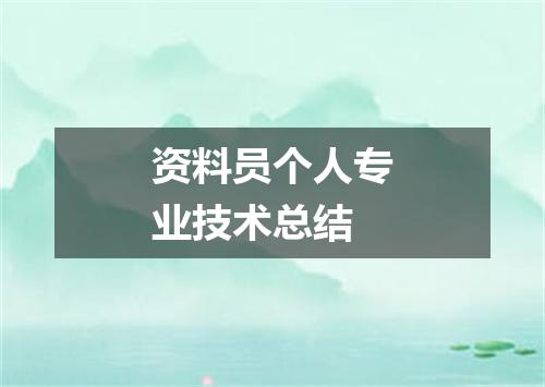 资料员个人专业技术总结