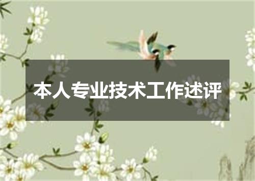 本人专业技术工作述评