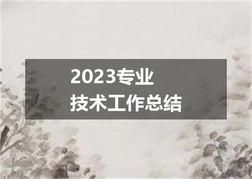 2023专业技术工作总结