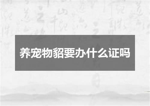 养宠物貂要办什么证吗