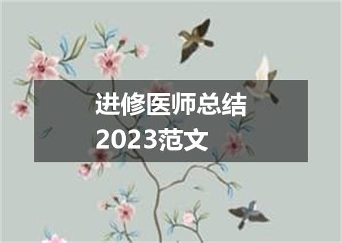 进修医师总结2023范文