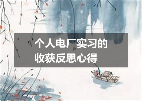 个人电厂实习的收获反思心得