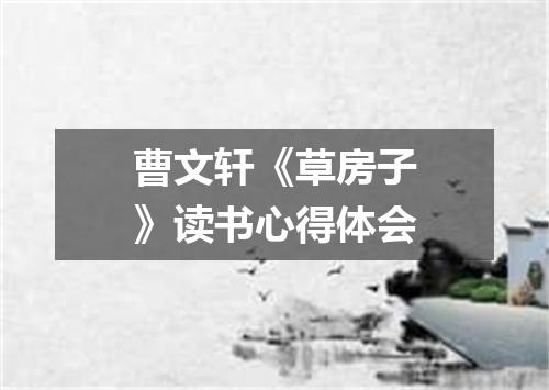 曹文轩《草房子》读书心得体会