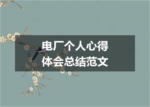 电厂个人心得体会总结范文