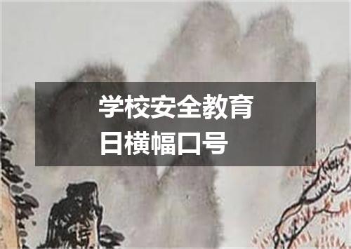 学校安全教育日横幅口号