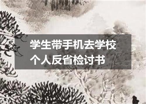 学生带手机去学校个人反省检讨书
