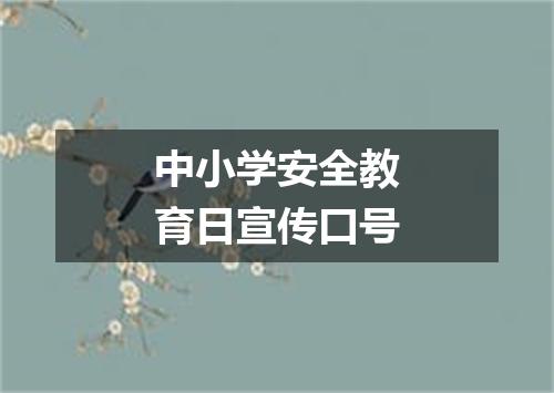 中小学安全教育日宣传口号