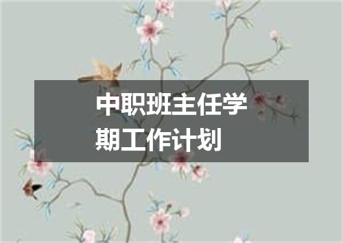 中职班主任学期工作计划