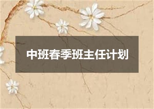 中班春季班主任计划