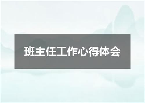 班主任工作心得体会