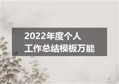 2022年度个人工作总结模板万能