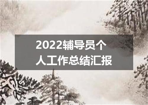 2022辅导员个人工作总结汇报