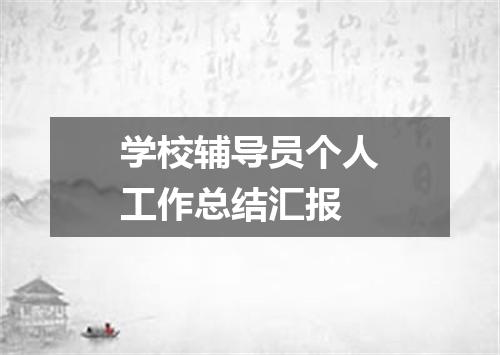 学校辅导员个人工作总结汇报