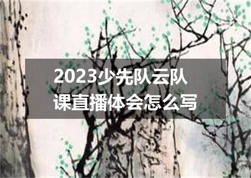 2023少先队云队课直播体会怎么写