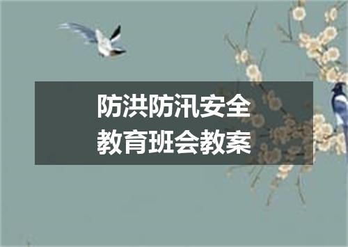 防洪防汛安全教育班会教案