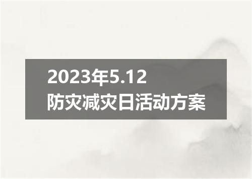 2023年5.12防灾减灾日活动方案
