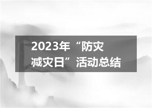 2023年“防灾减灾日”活动总结