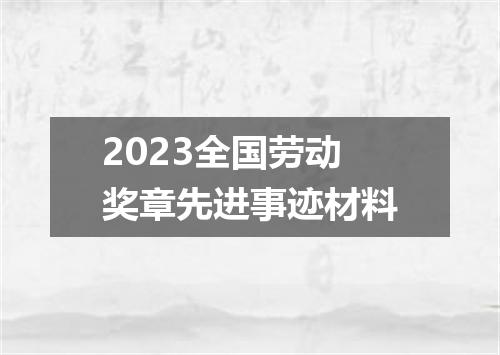 2023全国劳动奖章先进事迹材料