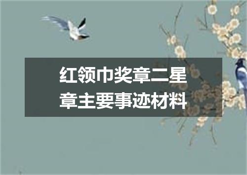 红领巾奖章二星章主要事迹材料