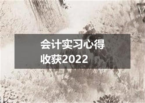 会计实习心得收获2022