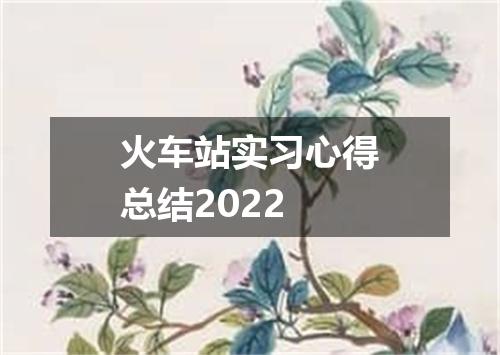 火车站实习心得总结2022
