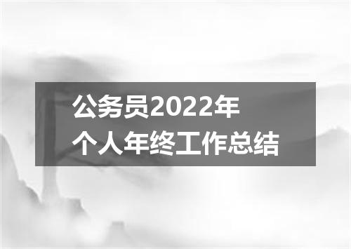 公务员2022年个人年终工作总结