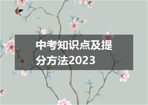 中考知识点及提分方法2023