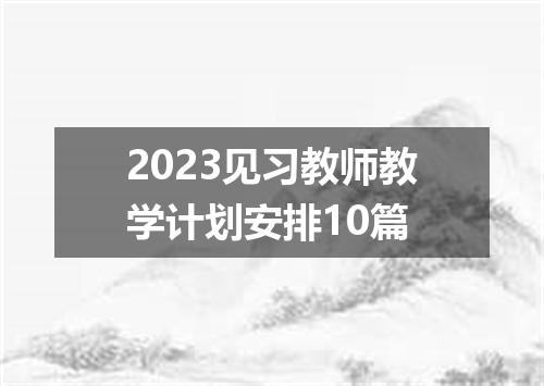 2023见习教师教学计划安排10篇